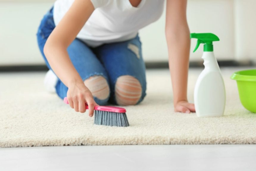 Clean Carpets in a Snap with Professional Help!